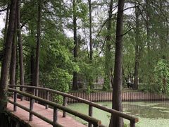 -东湖落雁景区