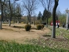 -燕郊植物园