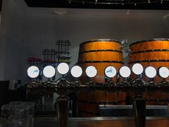 -汉森熊啤酒屋(双塘东路店)