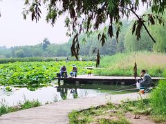 -前关湿地公园