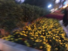 -广州中山纪念堂