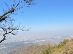 -紫金山山顶公园