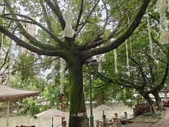 -成都市活水公园