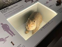 -香港科学馆
