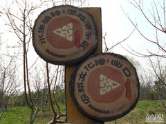 -昆山城市生态森林公园