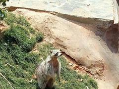 -云南野生动物园