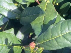 -国生茶庄·地道农家菜团建活动