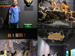 -厦门诚毅自然探索馆
