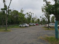 场地-广富林郊野公园-P5停车场