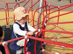 -枫香湖儿童公园