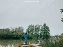 -上海长兴岛郊野公园