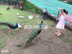 -秀丽东方