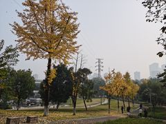 -重庆彩云湖湿地公园