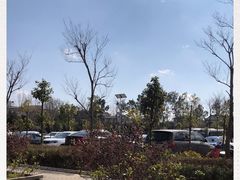 -蝴蝶泉公园
