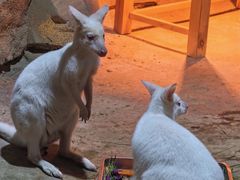 -杭州开元森泊度假乐园