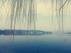 -西湖外事游船(花港观鱼码头)