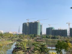 -王借岗森林公园