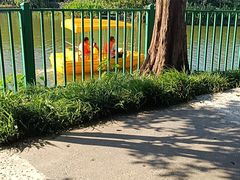 -黄兴公园