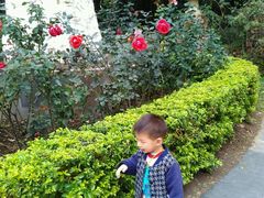 -人民公园(罗湖区)