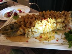 -新君悦国际酒店