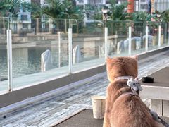 -Vanillacafe香草咖啡(银海大世界店)