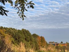 -白鹭湾湿地公园
