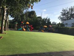 -金雁飞鸣双语幼儿园