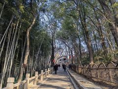 -灵岩山风景区