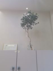点击看大图 -十六番发型师事务所