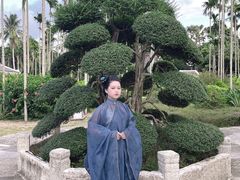 -蔡家宅