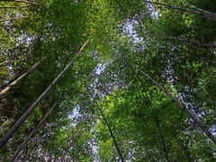 -南北湖风景区