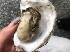 -蚝英雄鲜蚝自助专门店(长楹天街直营店)