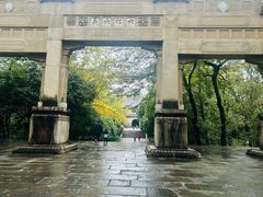 -灵谷景区