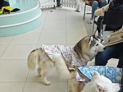 -怪兽屋·羊驼·猫咖·狗咖(俊华广场店)