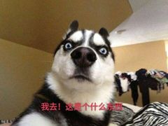 -食其家·牛丼咖喱(蚂蚁金服店)