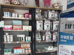 -伟伟宠物医院·瑞派猫友好医院·猫科(光谷店)