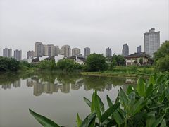 -洋湖国家湿地公园