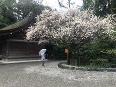 -热田神宫