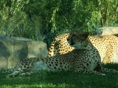 -北京野生动物园