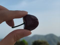-永泰中国云顶