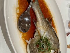 -醉辉皇原味海鲜江南菜(成都大魔方店)
