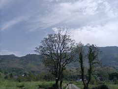 -塔川景区