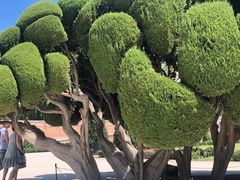 -丽池公园