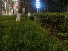 -重庆市江北嘴中央商务区中央公园