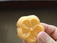 -野荸荠