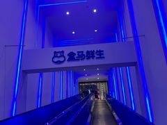 -盒马鲜生(联投广场店)
