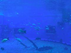 -前王院•巧克力海鲜市集餐厅(万平口店)