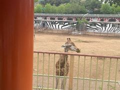 -大连森林动物园