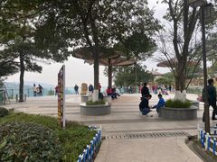 -铁山坪森林公园