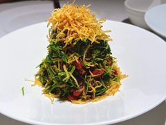 巧拌豆苗-四季民福烤鸭店(故宫店)